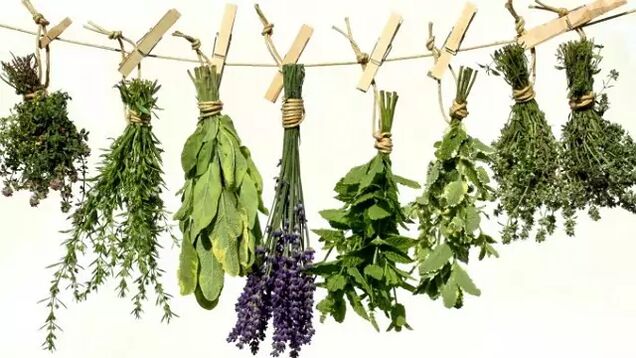 Herbes de parasites
