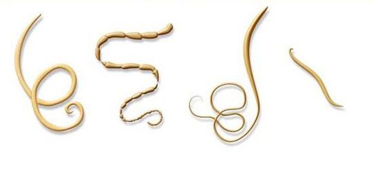 types de parasites les plus courants